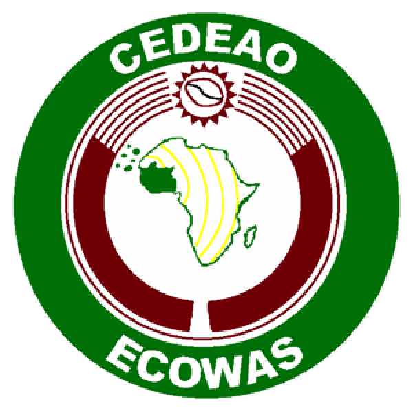 ECOWAS Leaders Hold Virtual Meeting to Combat COVID-19