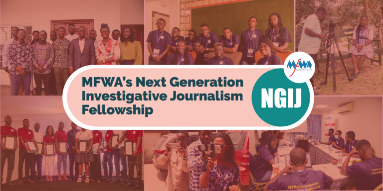 Call for application: Next Generation Investigative Journalism Fellowship 2022