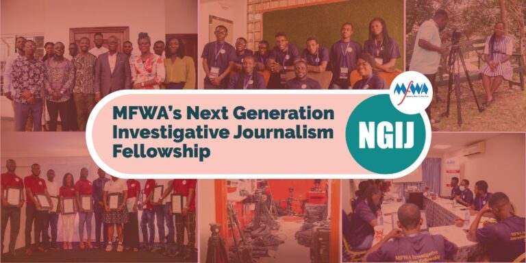 Call for application: Next Generation Investigative Journalism Fellowship 2023